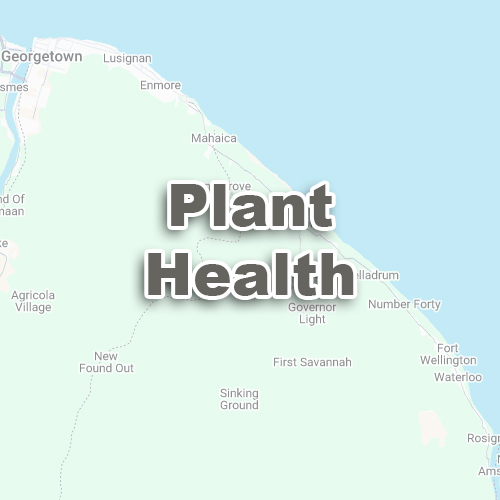 Plant Health
